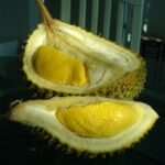 Isi durian Musang King Malaysia berwarna kuning keemasan