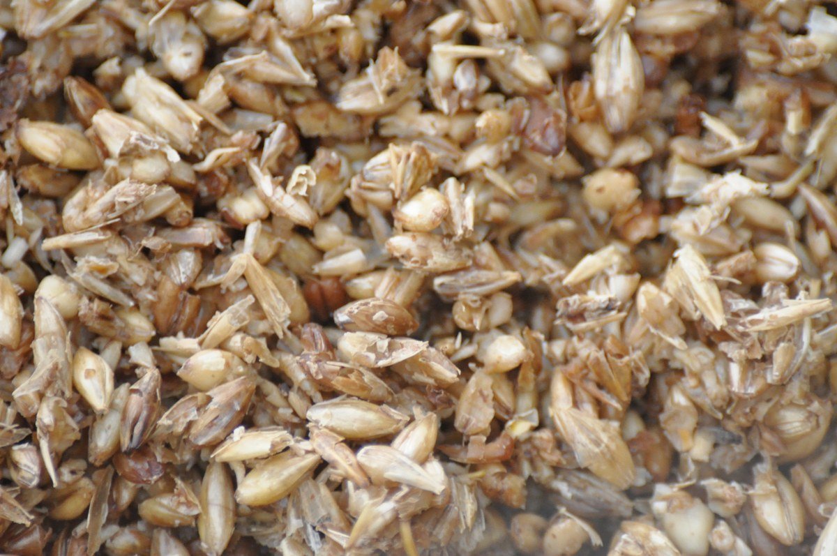 Grain hulls remaining after the brewing process