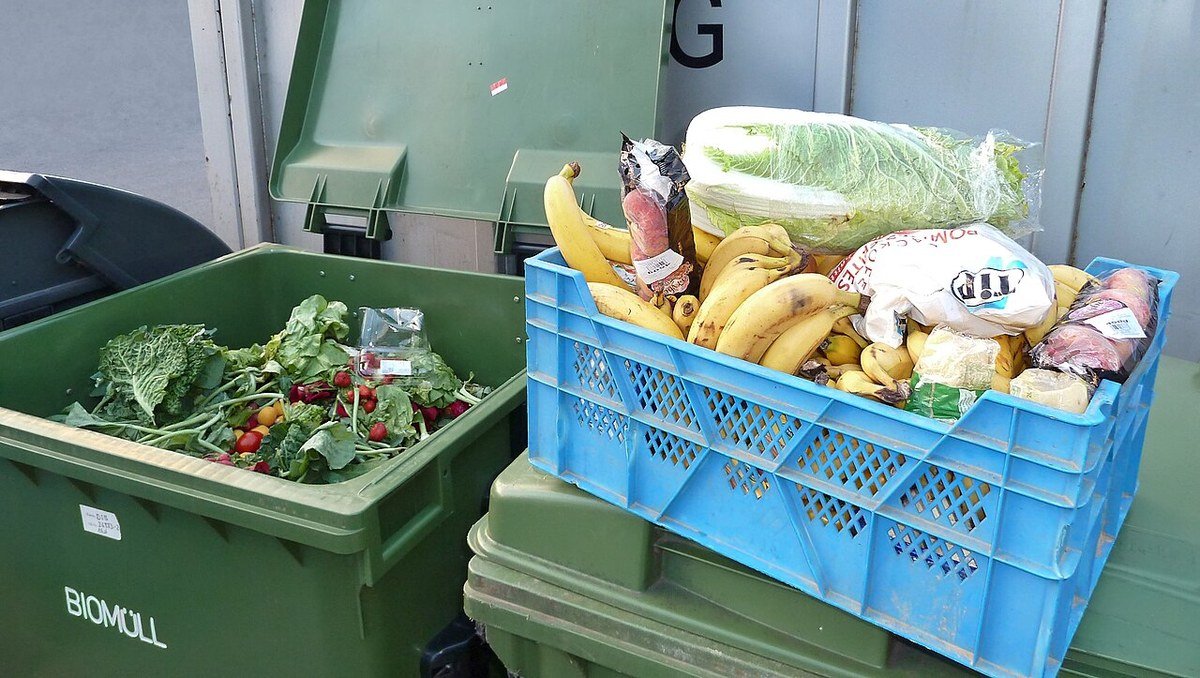 Recovered vegetables and fruit that can be redirected from waste