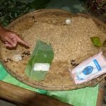 Soybeans and banana leaves laid out for tempe production in a Central Java village
